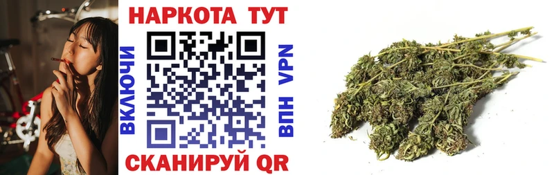 APVP Сосновый Бор