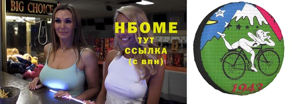 СК Алексин