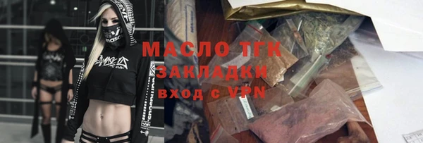 СК Алексин