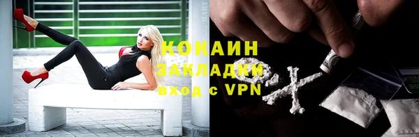 СК Алексин