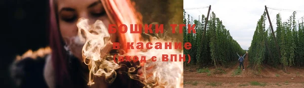 СК Алексин