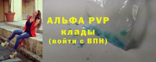 СК Алексин