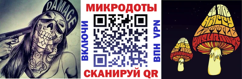 купить закладку  Сосновый Бор  Псилоцибиновые грибы GOLDEN TEACHER 
